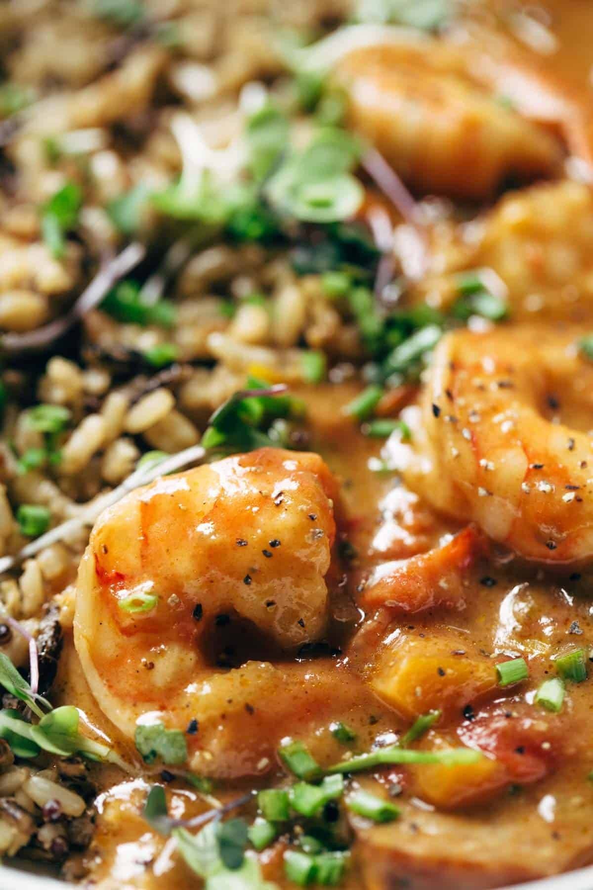 Close up shrimp and rice.